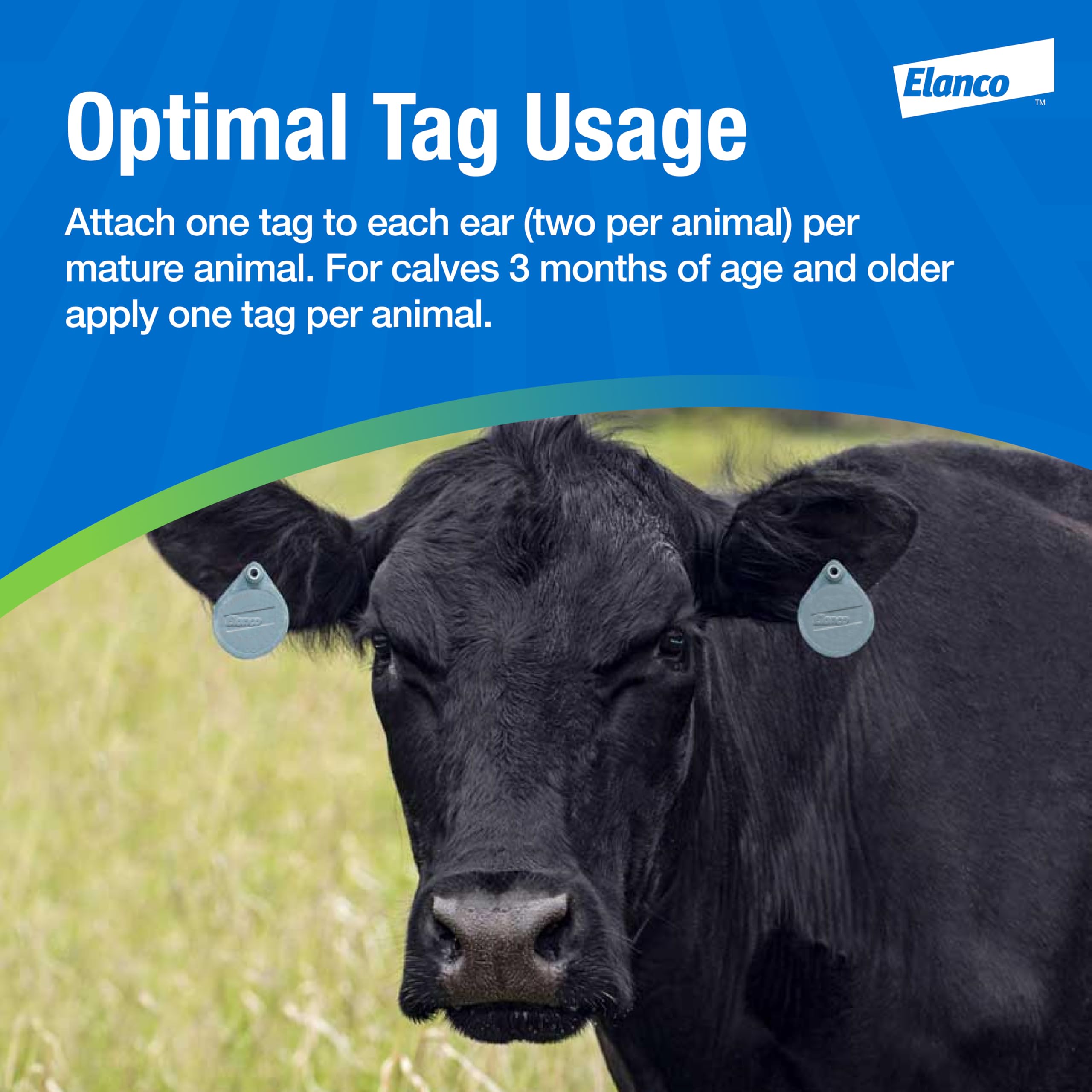 Elanco CyLence Ultra ear tag on cow demonstrating visible placement and comfort