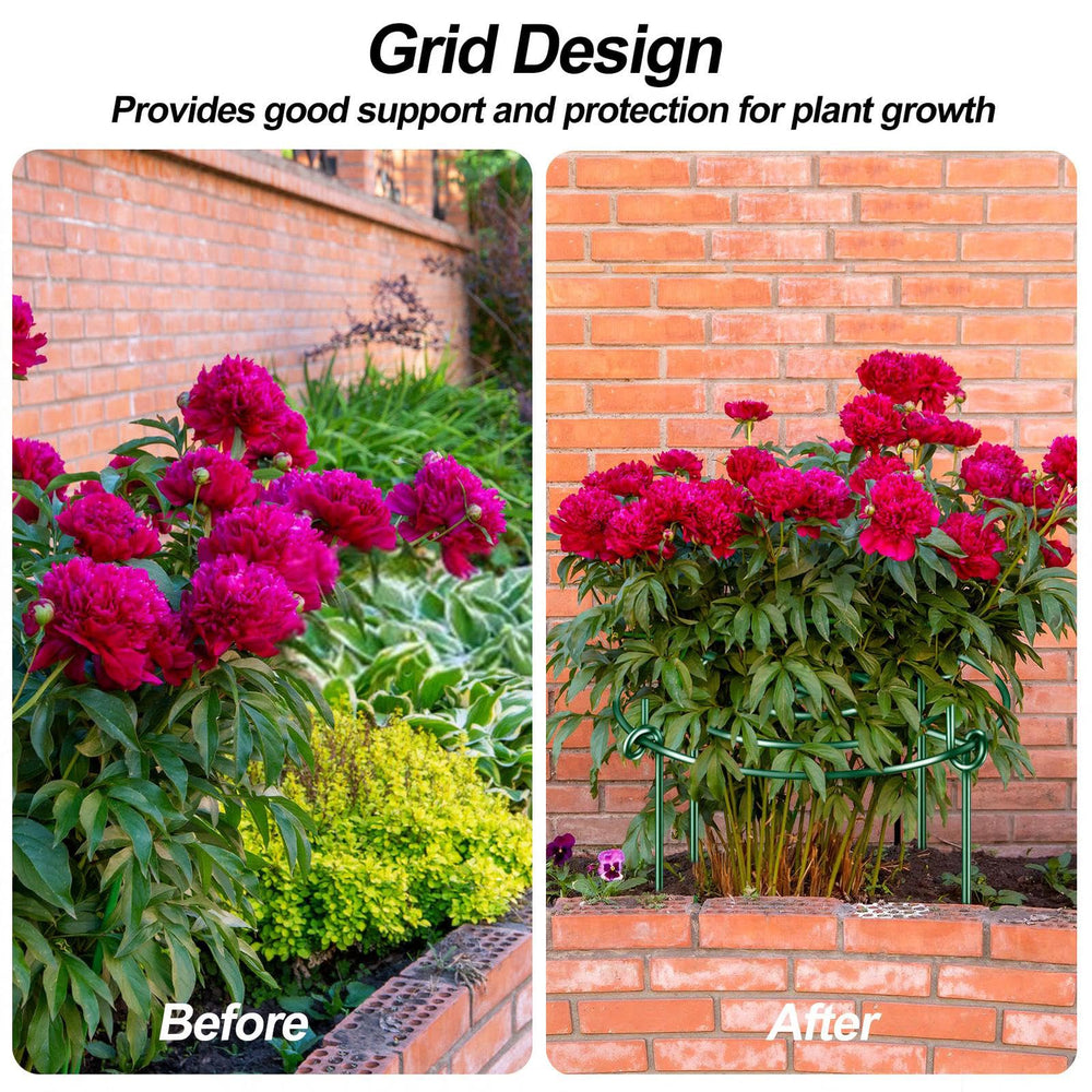Elefama peony cage in a garden holding heavy blooms elevated for neater beds and airflow