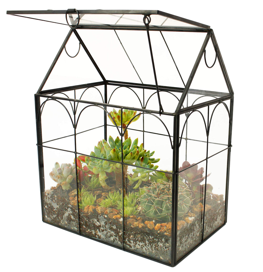 ELEGANTLIFE front view black house terrarium showing sleek display benefit