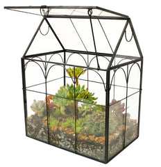 ELEGANTLIFE front view black house terrarium showing sleek display benefit