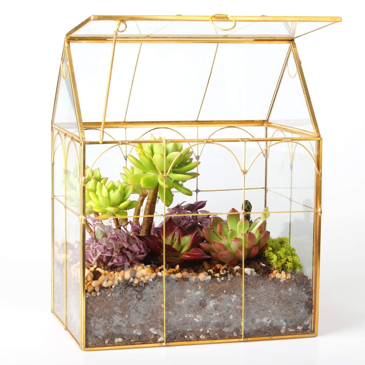ELEGANTLIFE front view showing geometric house terrarium and neat plant display benefit