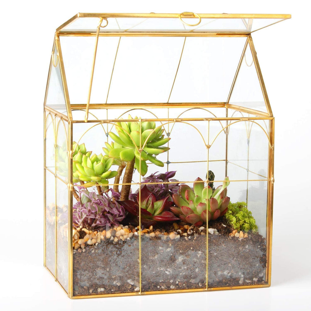 ELEGANTLIFE front view showing geometric house terrarium and neat plant display benefit