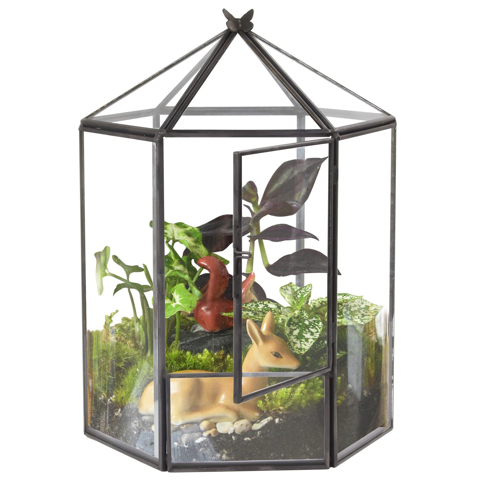 ELEGANTLIFE front view of hexagonal glass terrarium showcasing modern geometry and display benefit