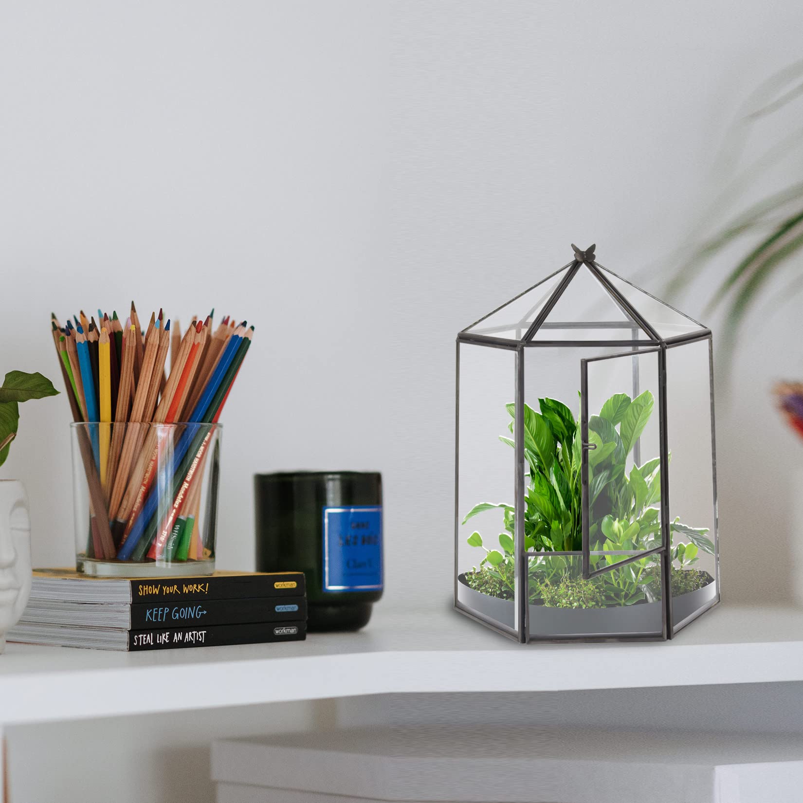 ELEGANTLIFE terrarium on desk in living room illustrating decorative lifestyle benefit