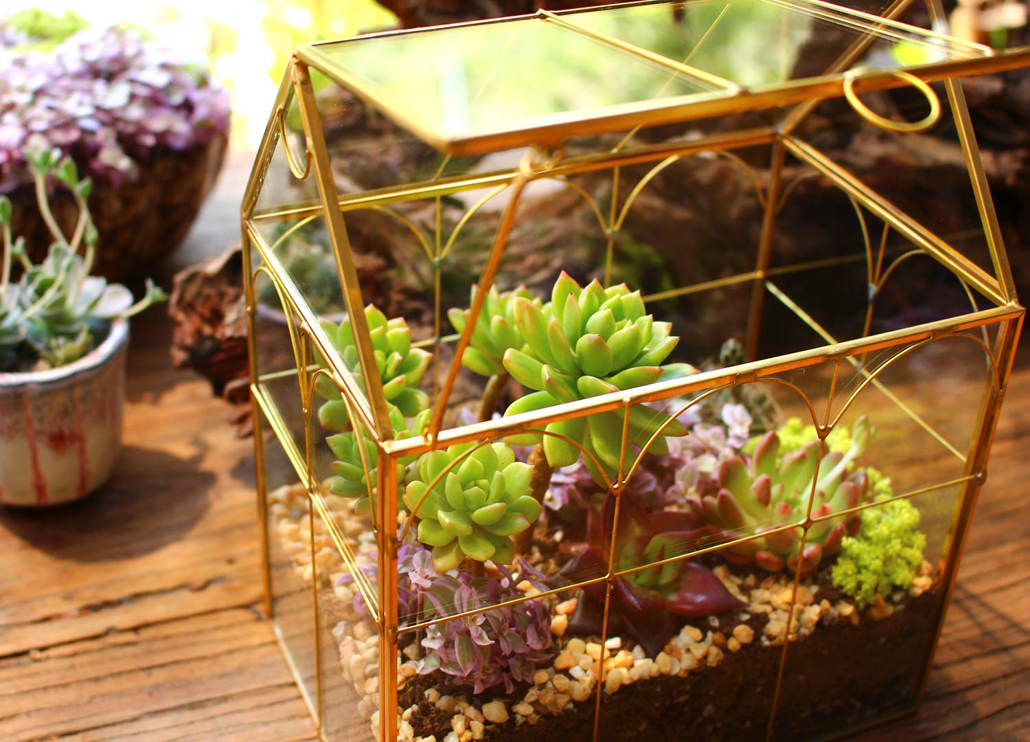 ELEGANTLIFE terrarium on office desk creating a modern, calming display benefit