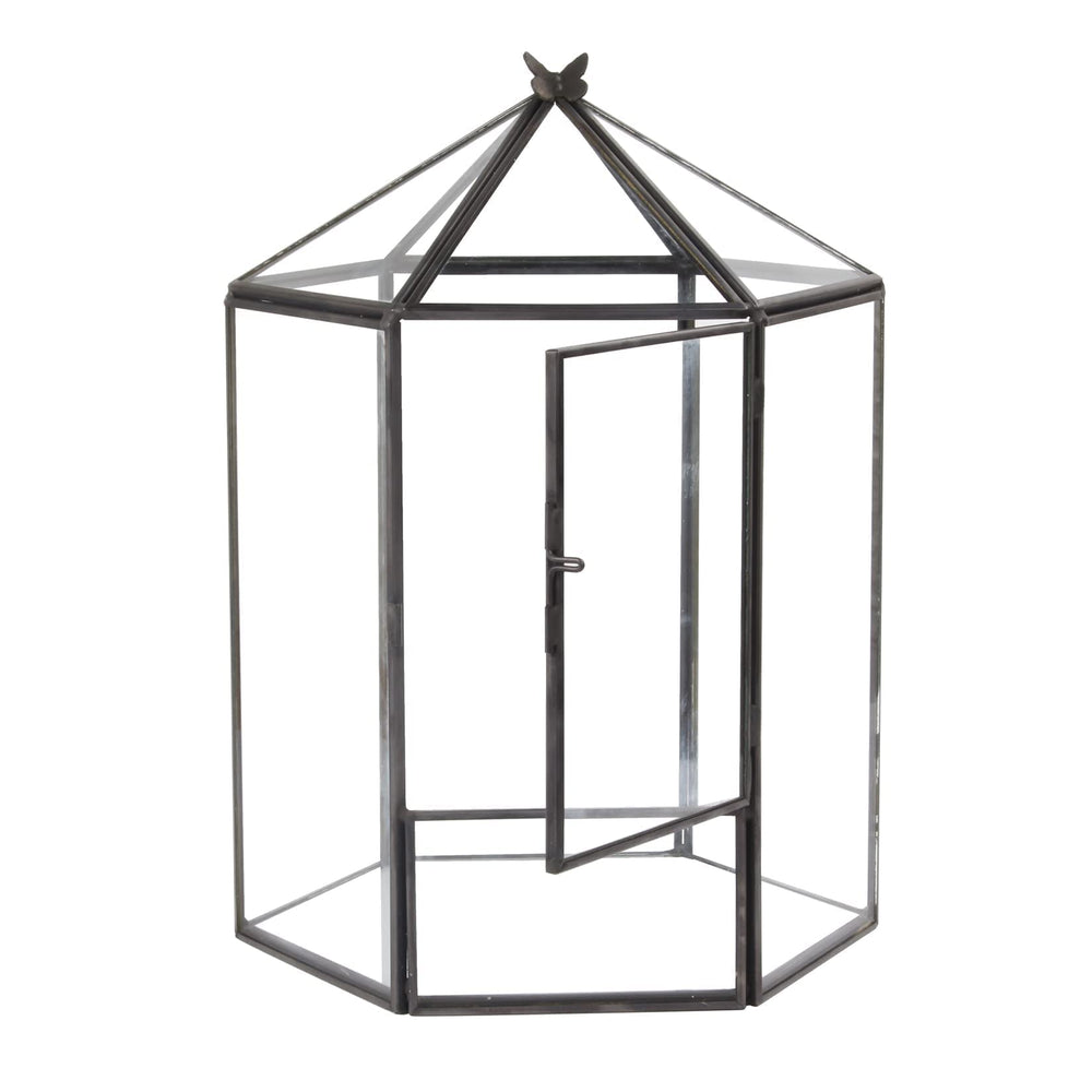 ELEGANTLIFE terrarium in hand showing compact size and tabletop suitability