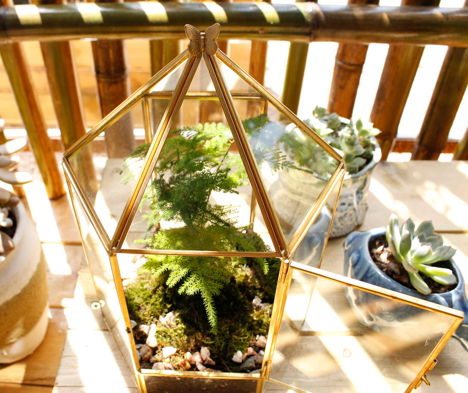 ELEGANTLIFE terrarium beside ruler to show compact size and placement benefit