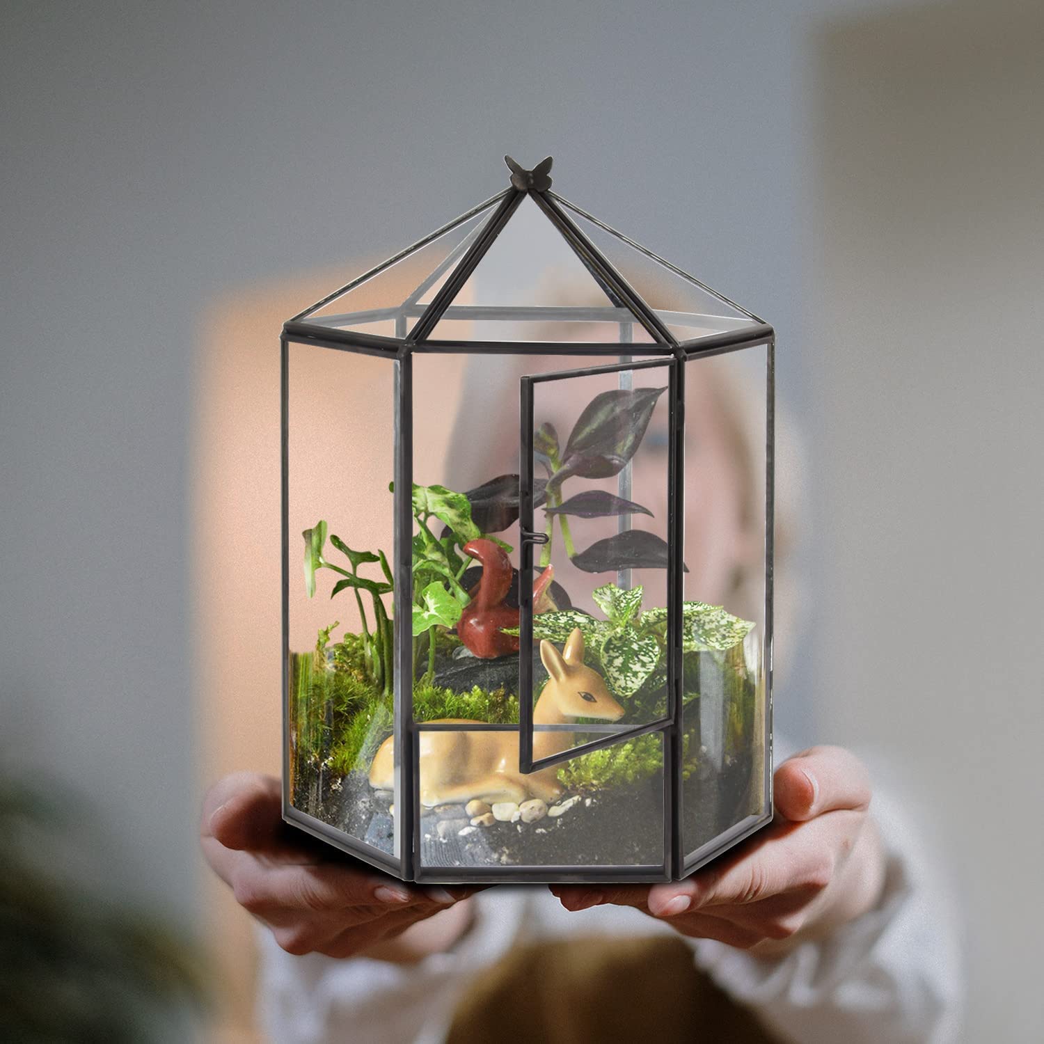 ELEGANTLIFE side profile showing black frame that defines plants for bold contrast