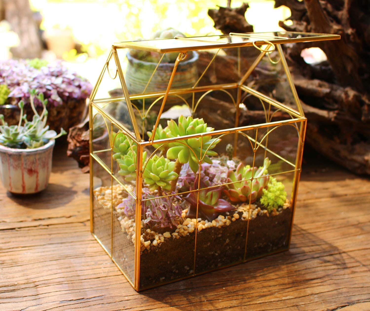 ELEGANTLIFE terrarium next to hand for scale showing compact, decorative size