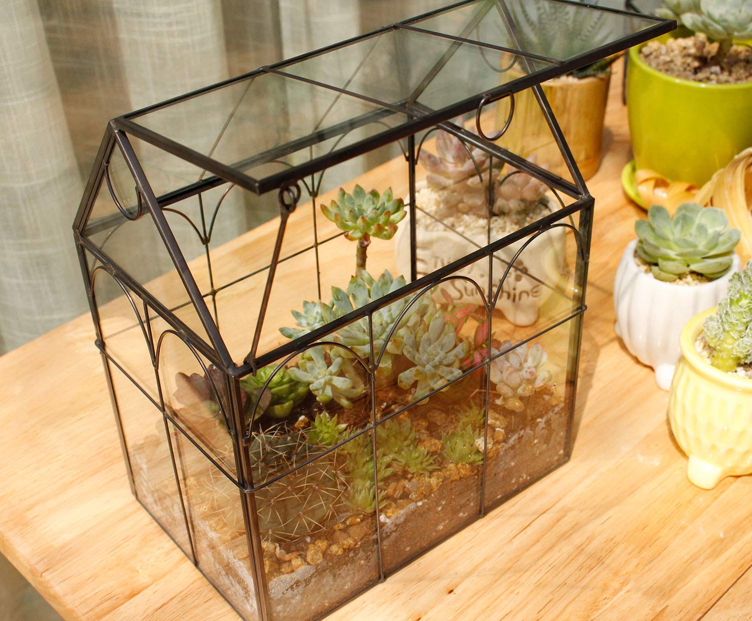 ELEGANTLIFE terrarium next to hand indicating compact size benefit
