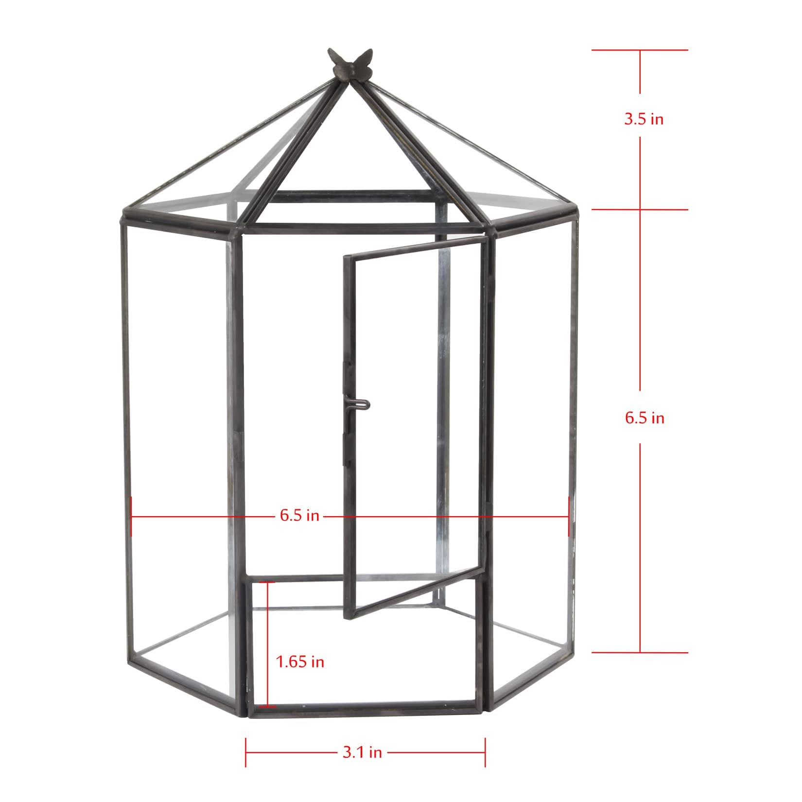 ELEGANTLIFE terrarium with top open showing easy access for planting and maintenance