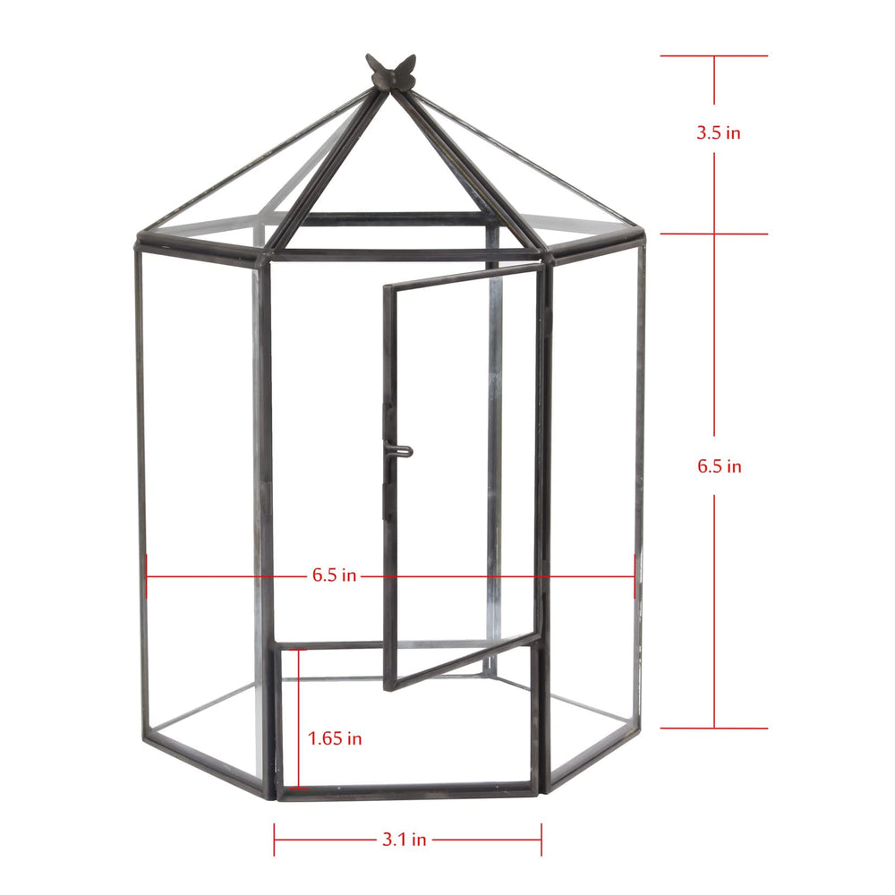 ELEGANTLIFE terrarium with top open showing easy access for planting and maintenance