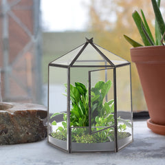ELEGANTLIFE terrarium styled with succulents demonstrating attractive plant display