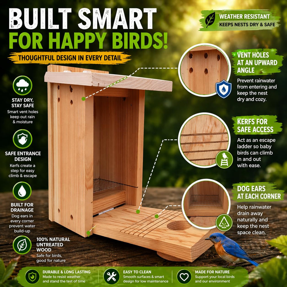 Elijebirds side access door open for easy cleaning and seasonal maintenance convenience
