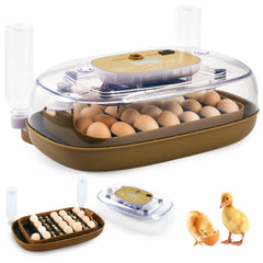 Elitevia incubator front view showing display and compact benefit