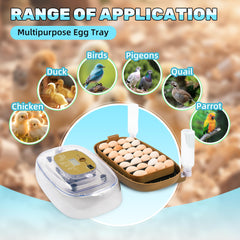 Elitevia incubator open lid showing adjustable trays for flexible capacity