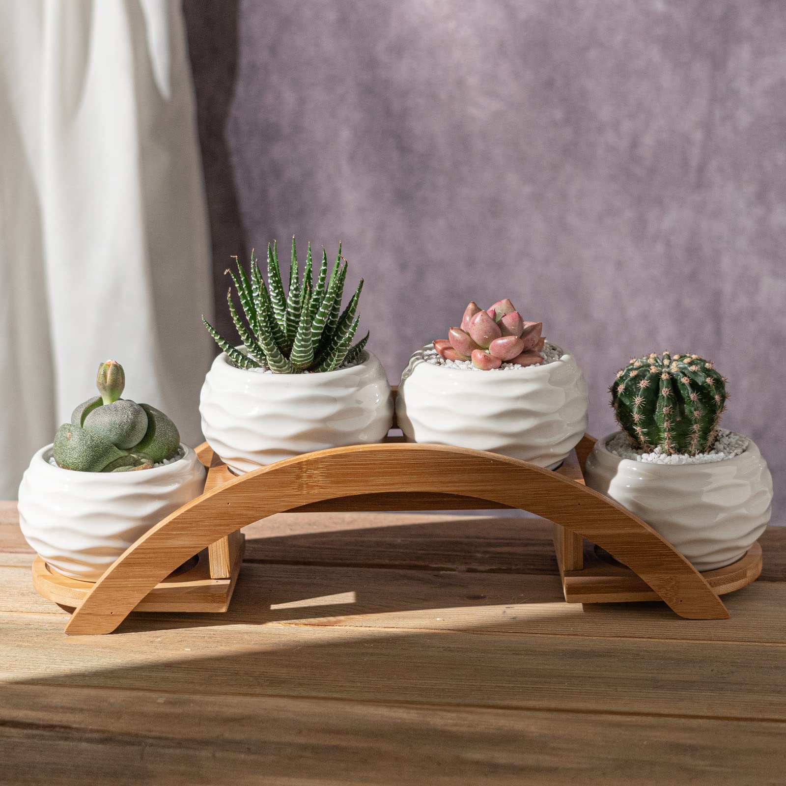 E-liu bamboo arch stand detail highlighting elegant curved shape and stability
