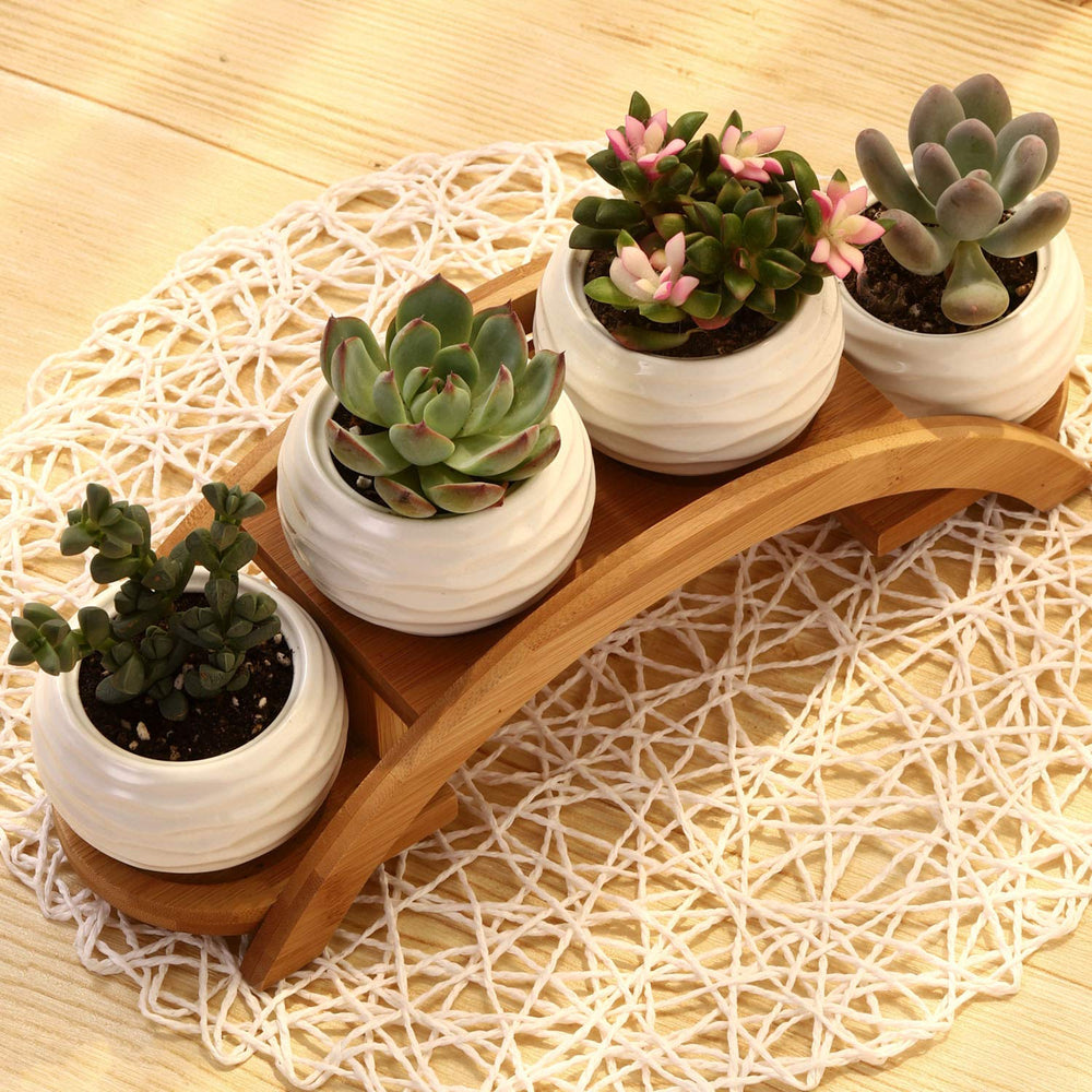 E-liu styled on desk adding visual interest and calming office decor