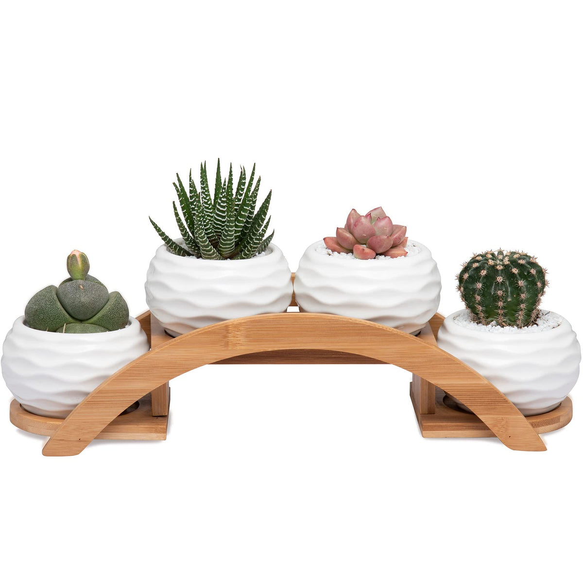 E-liu front view of four ceramic pots on bamboo stand, neat decorative display