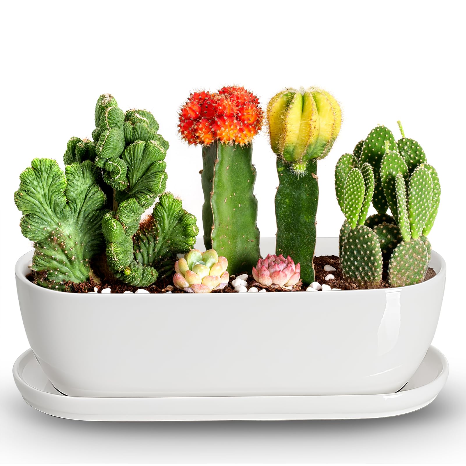 E-liu front view of oval planter showing sleek white design and modern style