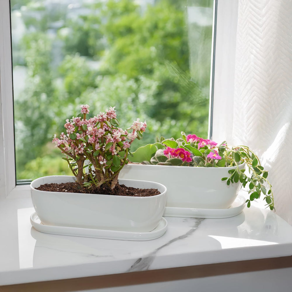 E-liu planter beside a hand for scale to show the 14-inch elongated size