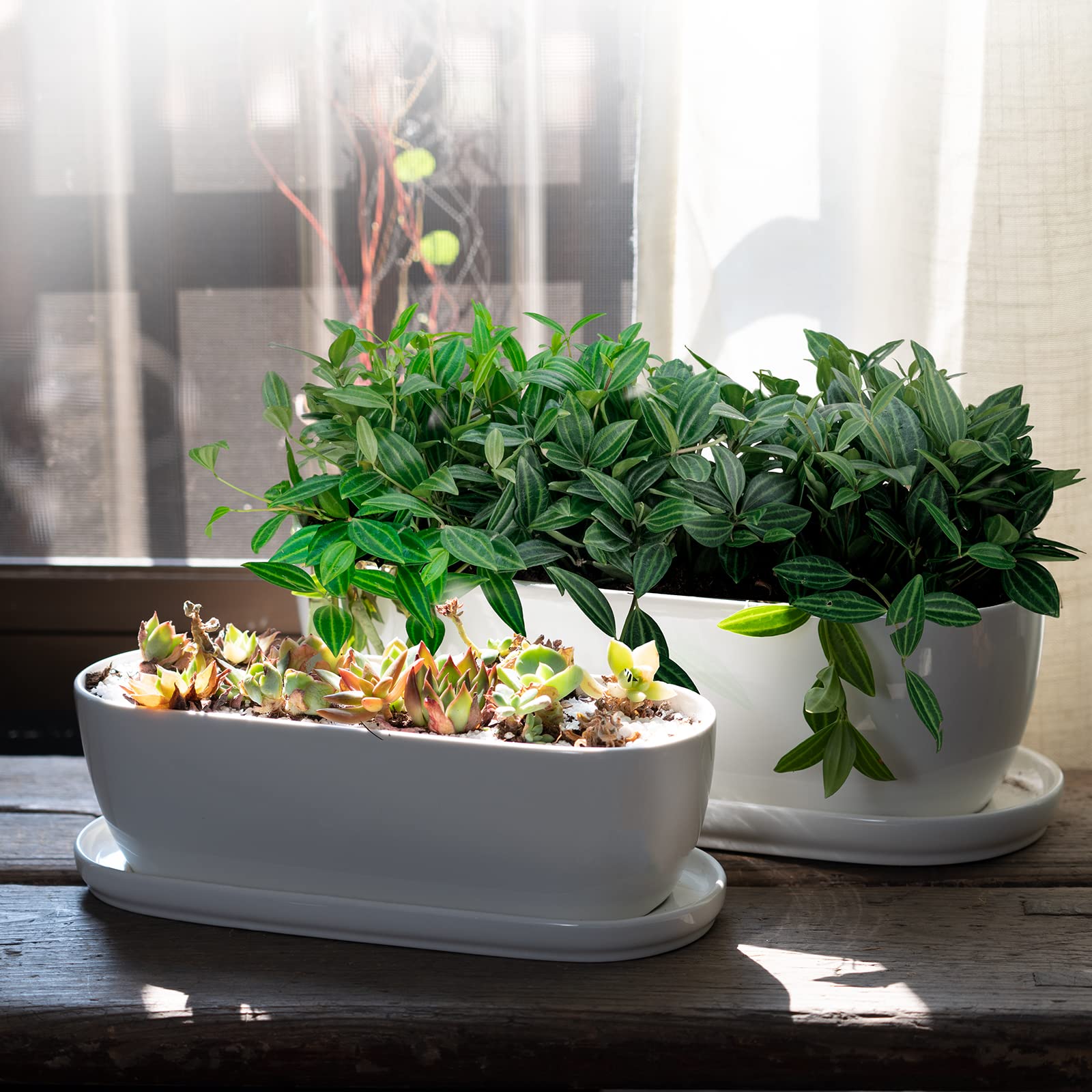 E-liu planter holding herbs on a windowsill demonstrating compact, neat display