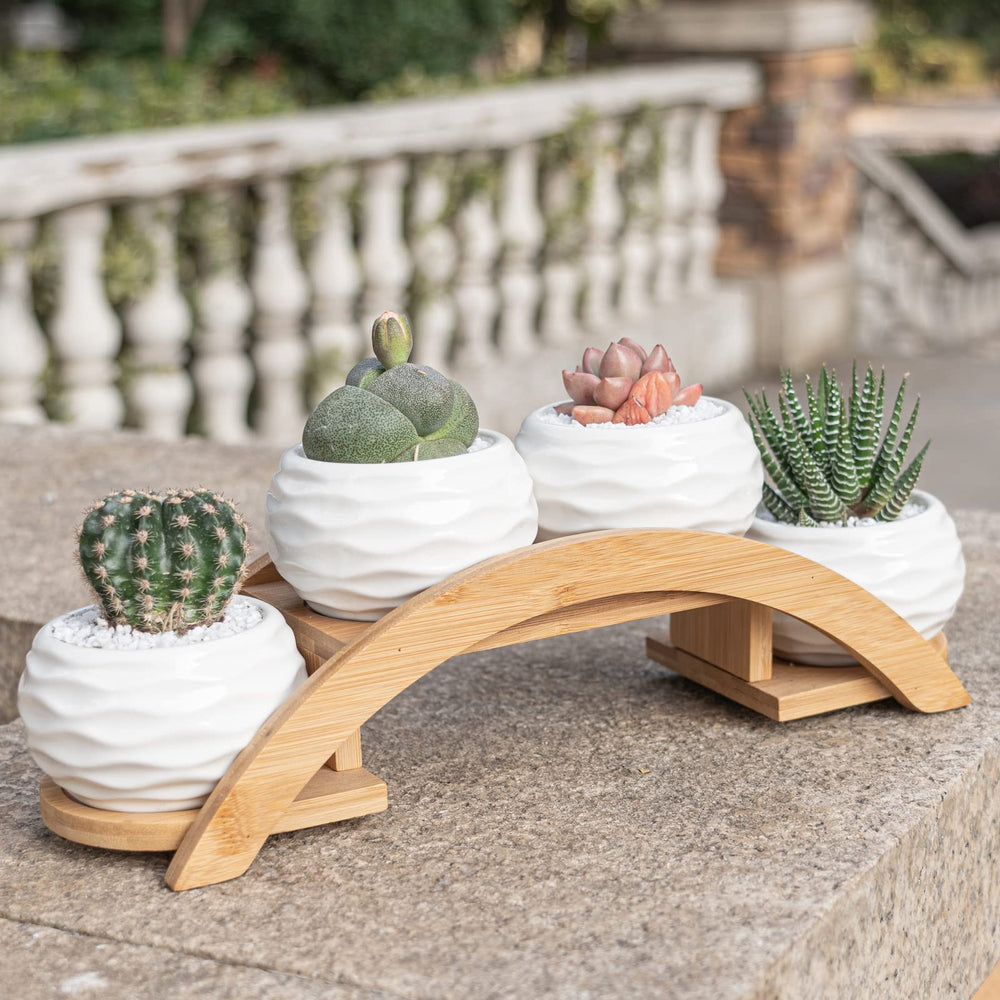 E-liu pots repurposed as tealight candle holders creating warm ambiance