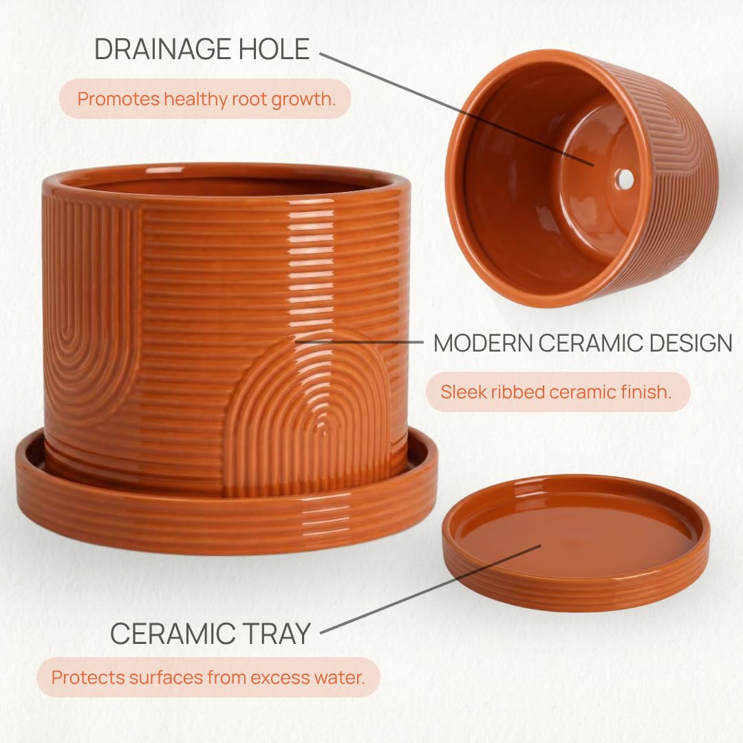 ÈMJÉ LUXE planter on windowsill adding natural warmth and decor balance