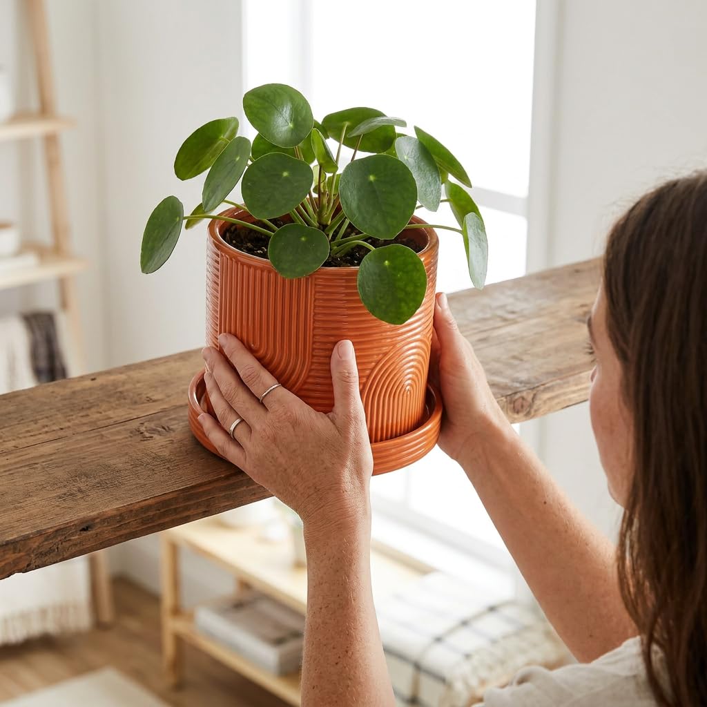 ÈMJÉ LUXE pot held in hand illustrating 6-inch size and space-saving benefit
