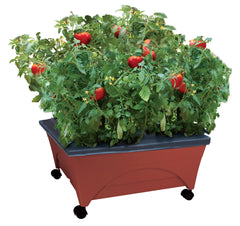 Emsco Group caster detail demonstrating easy mobility to follow sun and shade