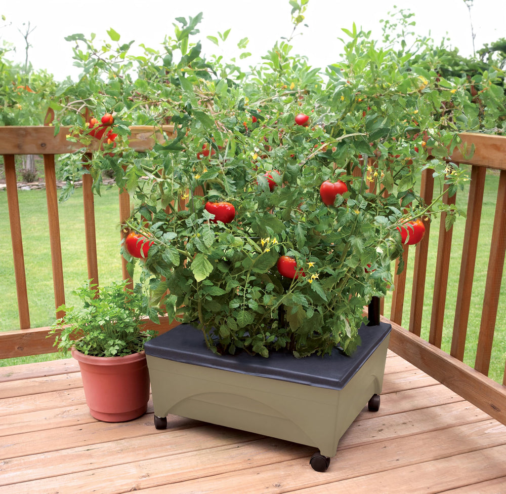 Emsco Group aeration screen detail improving root oxygenation and healthier growth