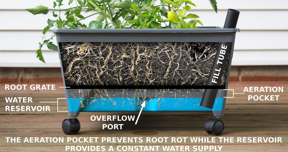 Emsco Group aeration screen detail promoting improved root oxygenation and healthier plants