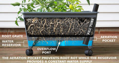 Emsco Group aeration screen detail promoting improved root oxygenation and healthier plants