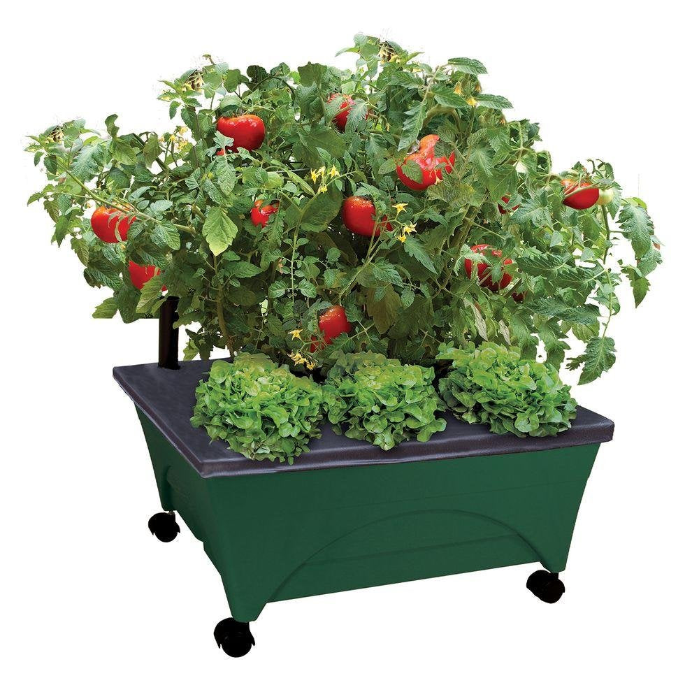 Emsco Group City Picker front view showing hunter green grow box and casters, portable planting benefit