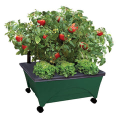 Emsco Group City Picker front view showing hunter green grow box and casters, portable planting benefit