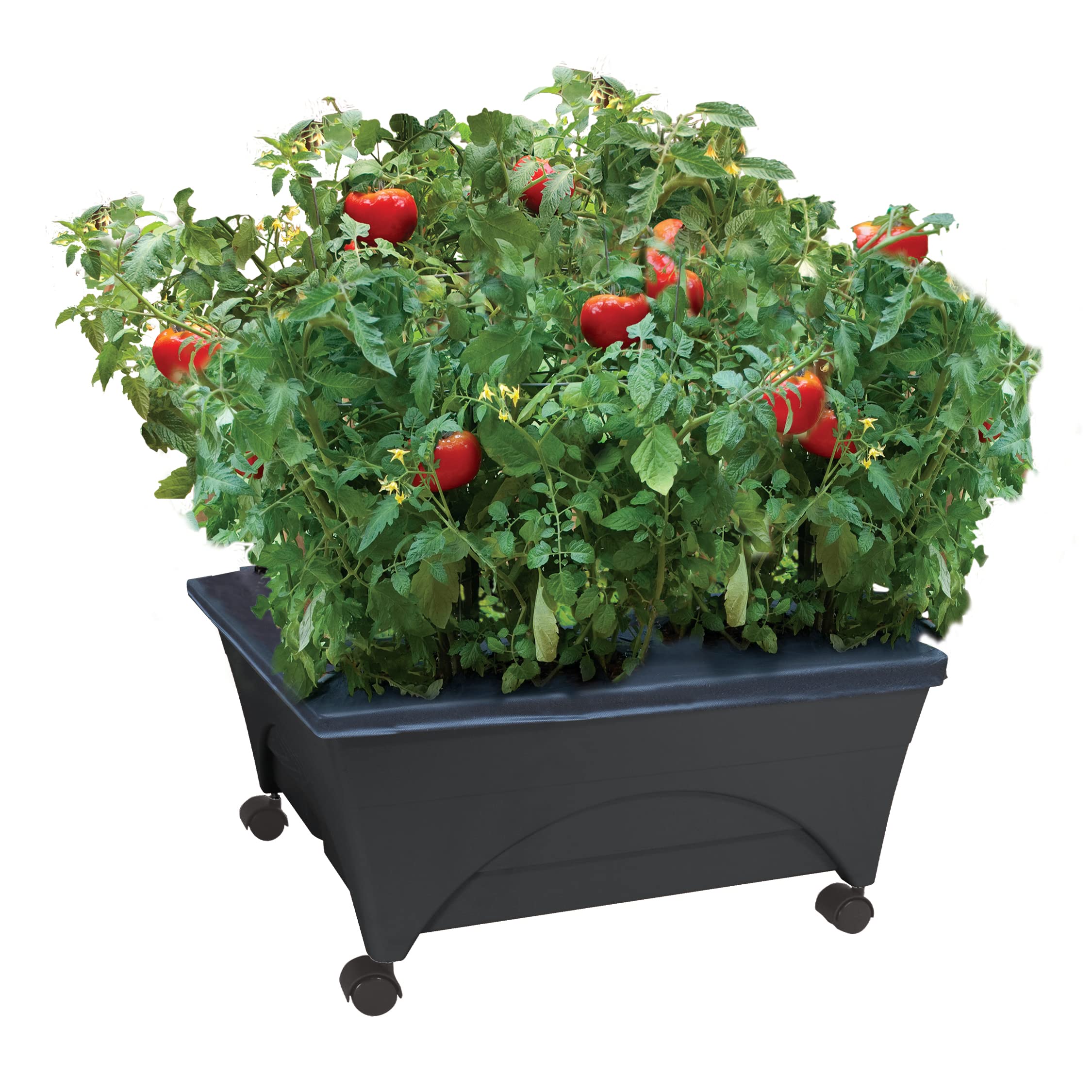 Emsco Group City Picker front view showing mobile raised bed and casters for easy positioning