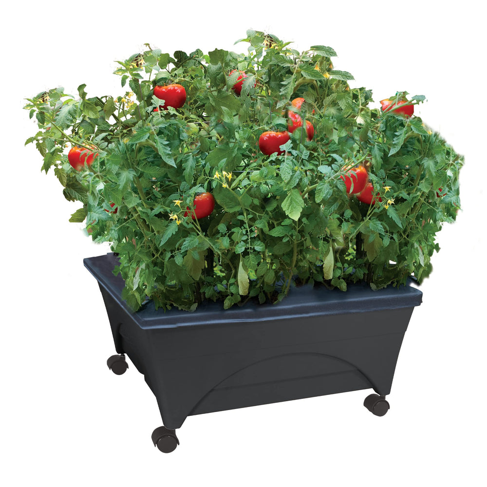 Emsco Group City Picker front view showing mobile raised bed and casters for easy positioning