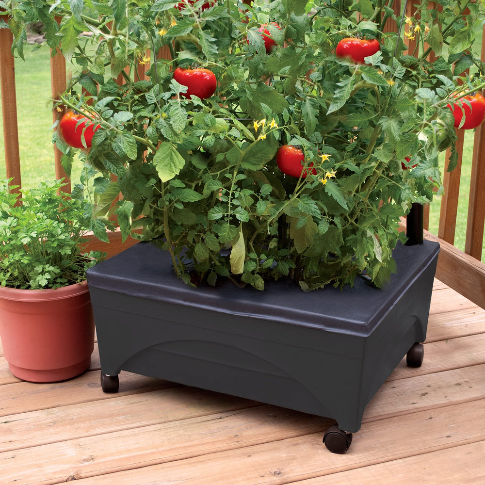 Emsco Group reservoir access view illustrating the 2-gallon self-watering feature for less watering