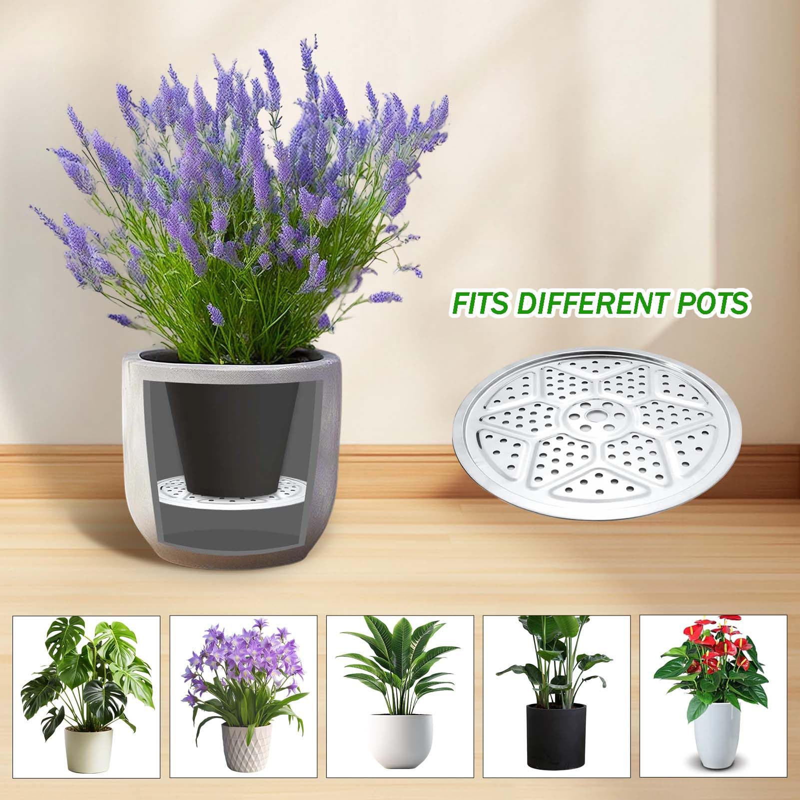 Emsiok in balcony planter setting enhancing drainage and tidy plant display