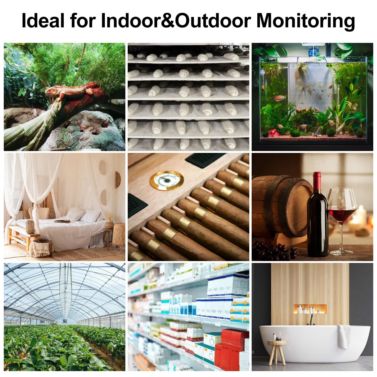 eMylo monitoring wine cellar temperature ensuring stable storage conditions