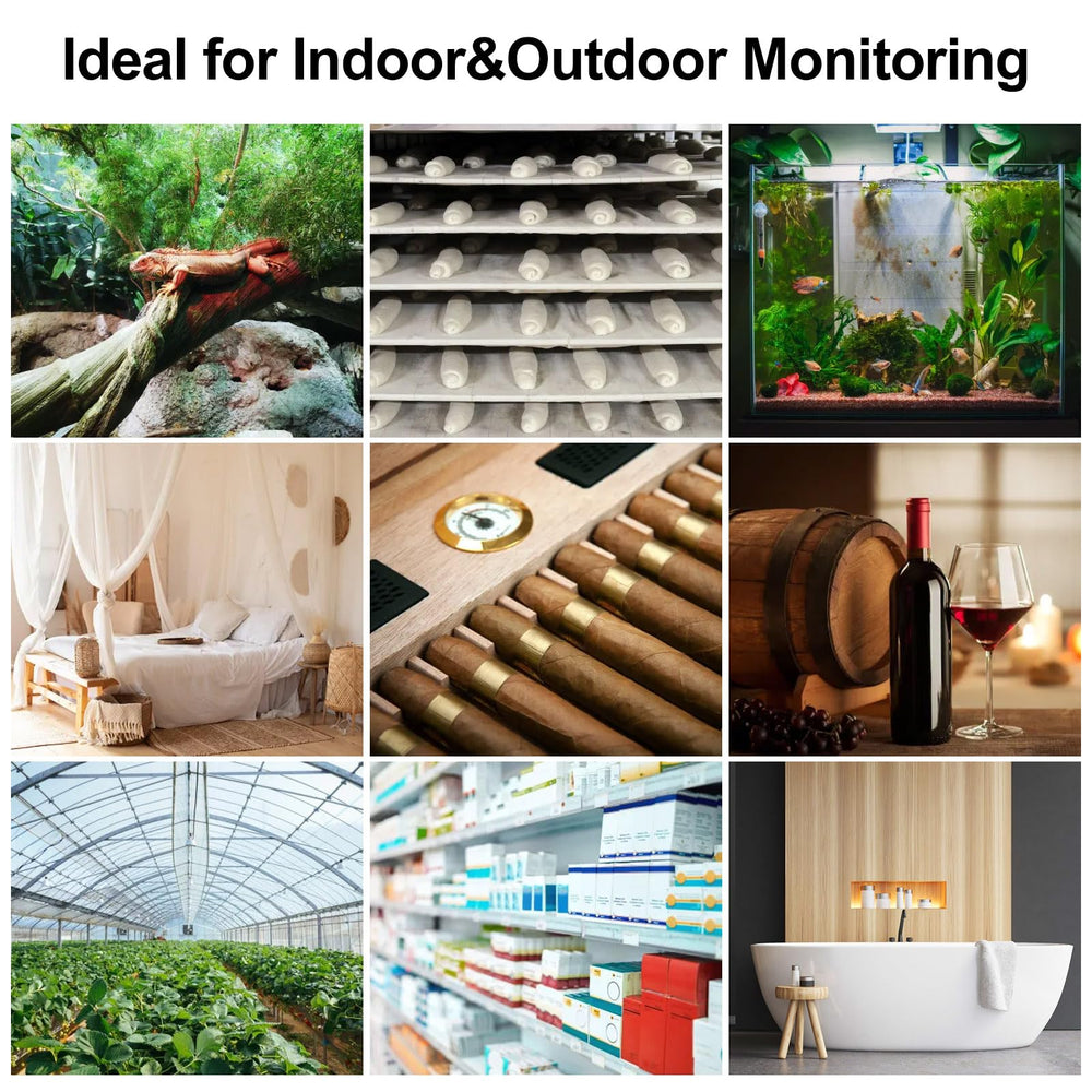 eMylo monitoring wine cellar temperature ensuring stable storage conditions