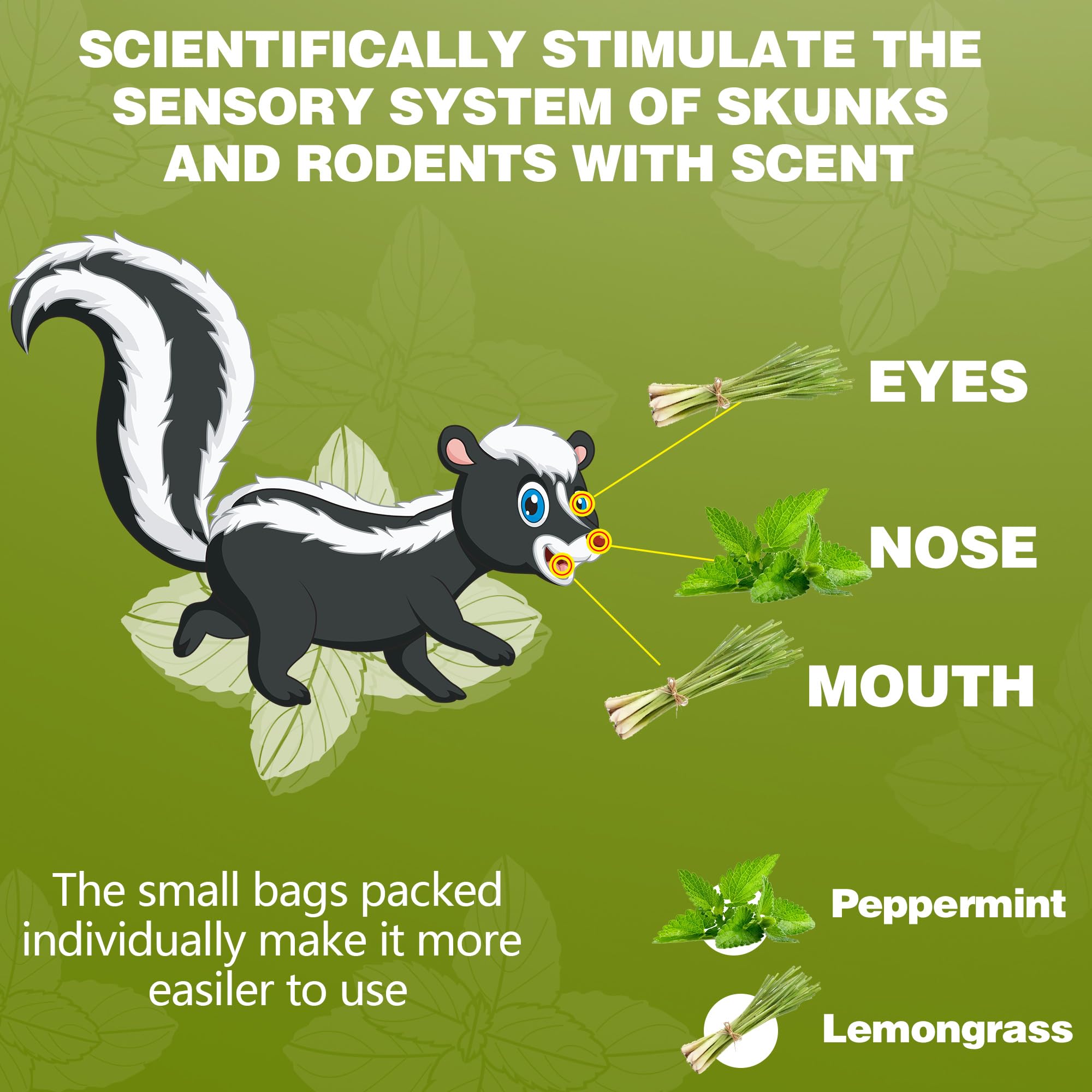 Enbabbor sachets with family pet nearby indicating safe, non-toxic use