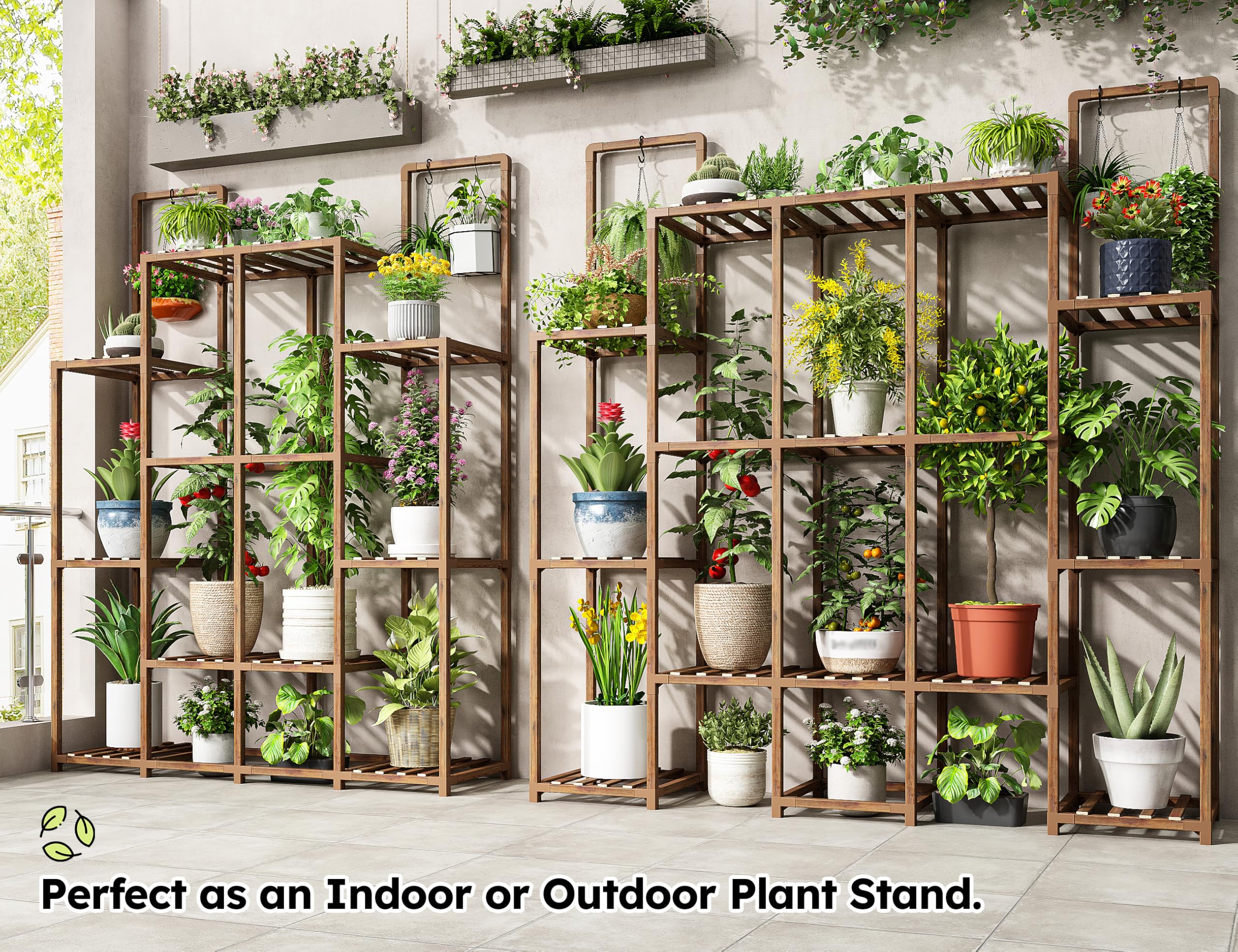 EnHomee hanging hooks holding trailing vines to maximize vertical greenery