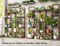 EnHomee hanging hooks holding trailing vines to maximize vertical greenery