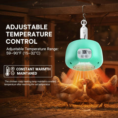 Enhon LED lights illuminated in coop improving visibility and gentle heat