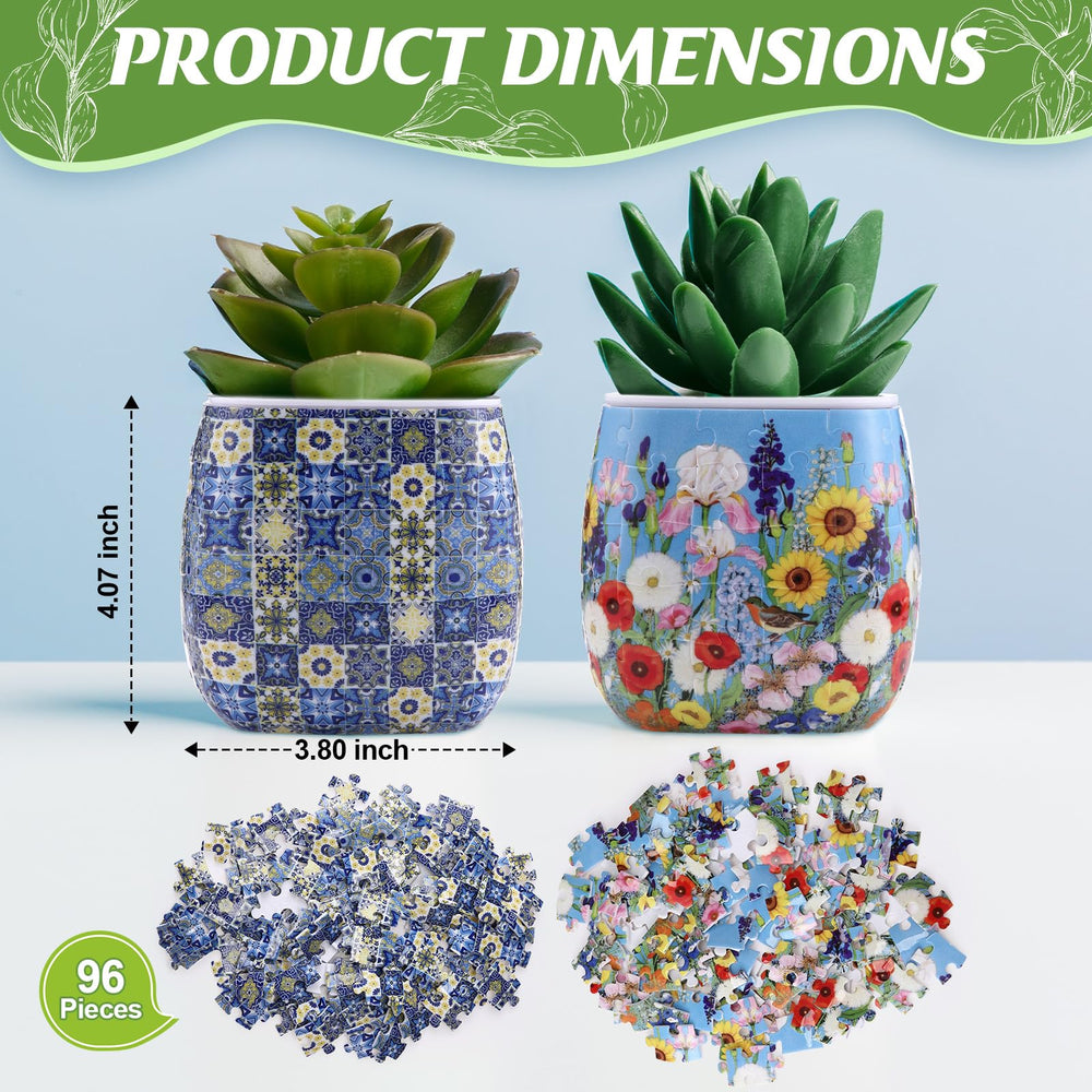 Enhon planter with succulent for size comparison and easy-care display