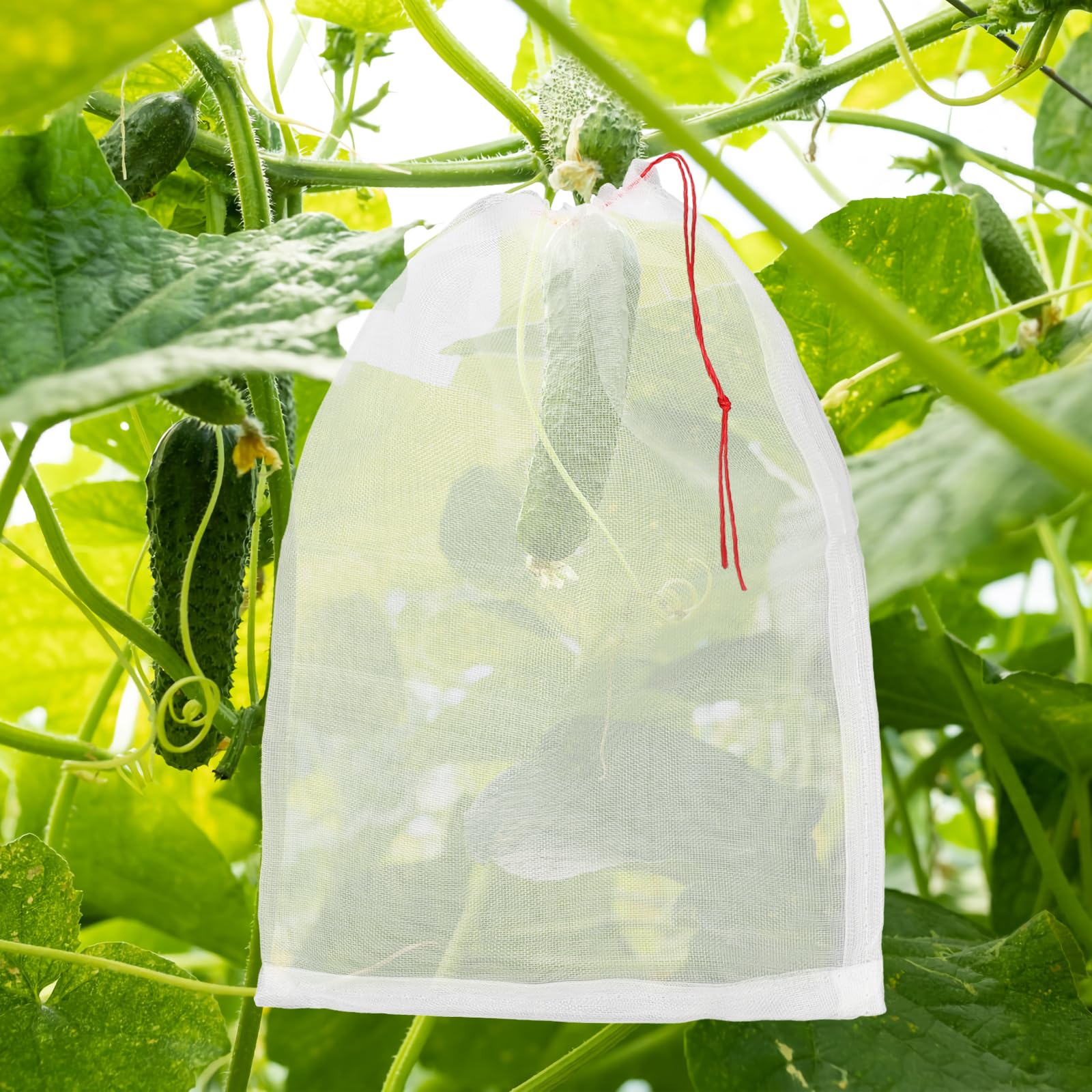 ENPOINT bag beside hand for scale showing compact size benefit