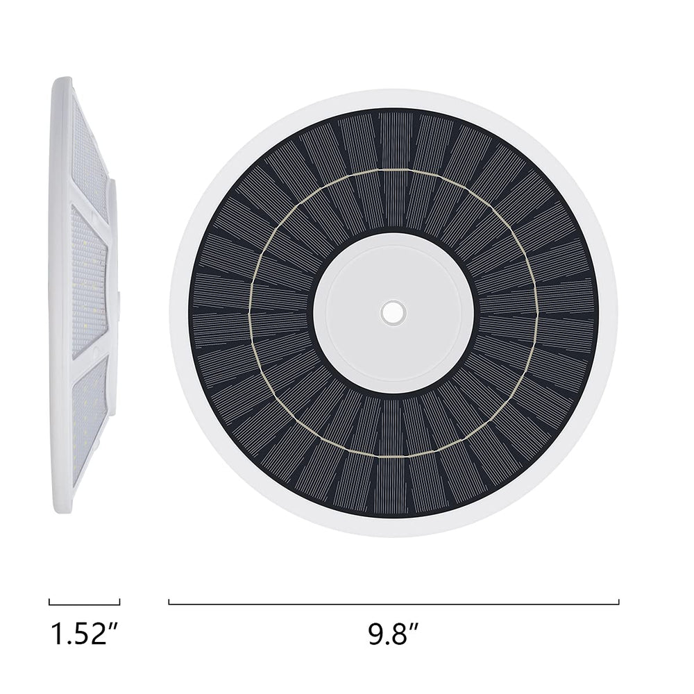 enrybia scale image beside an adult showing compact size and fit benefit