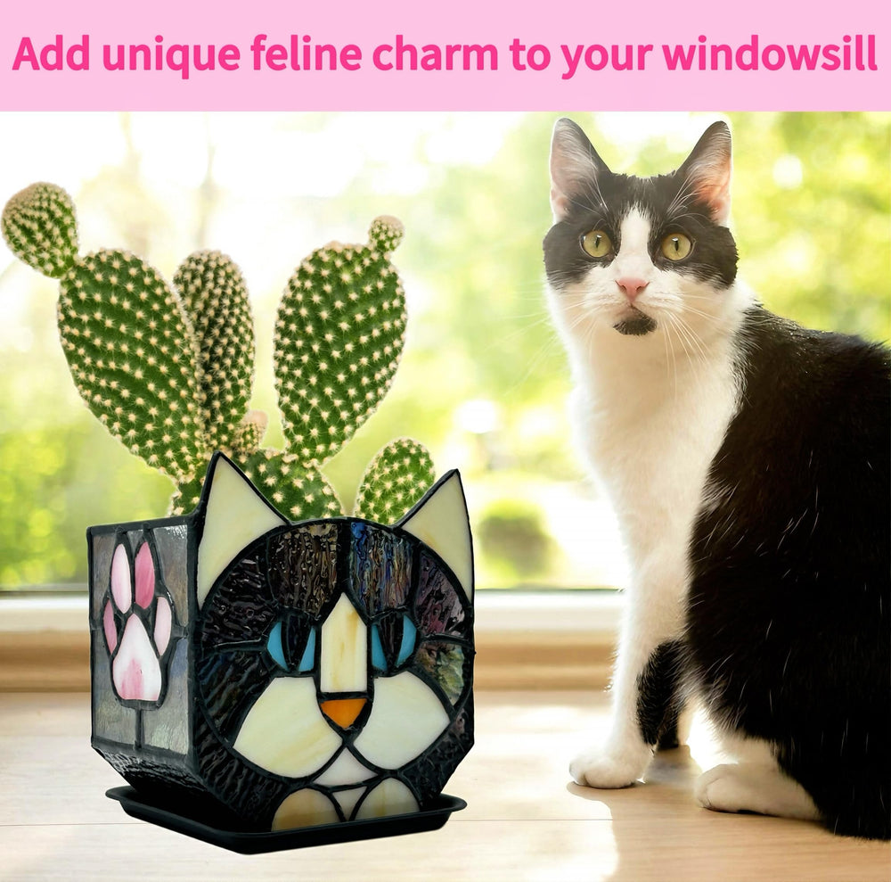 Entlityful black cat planter holding a succulent, demonstrating size fit and healthy plant display benefit