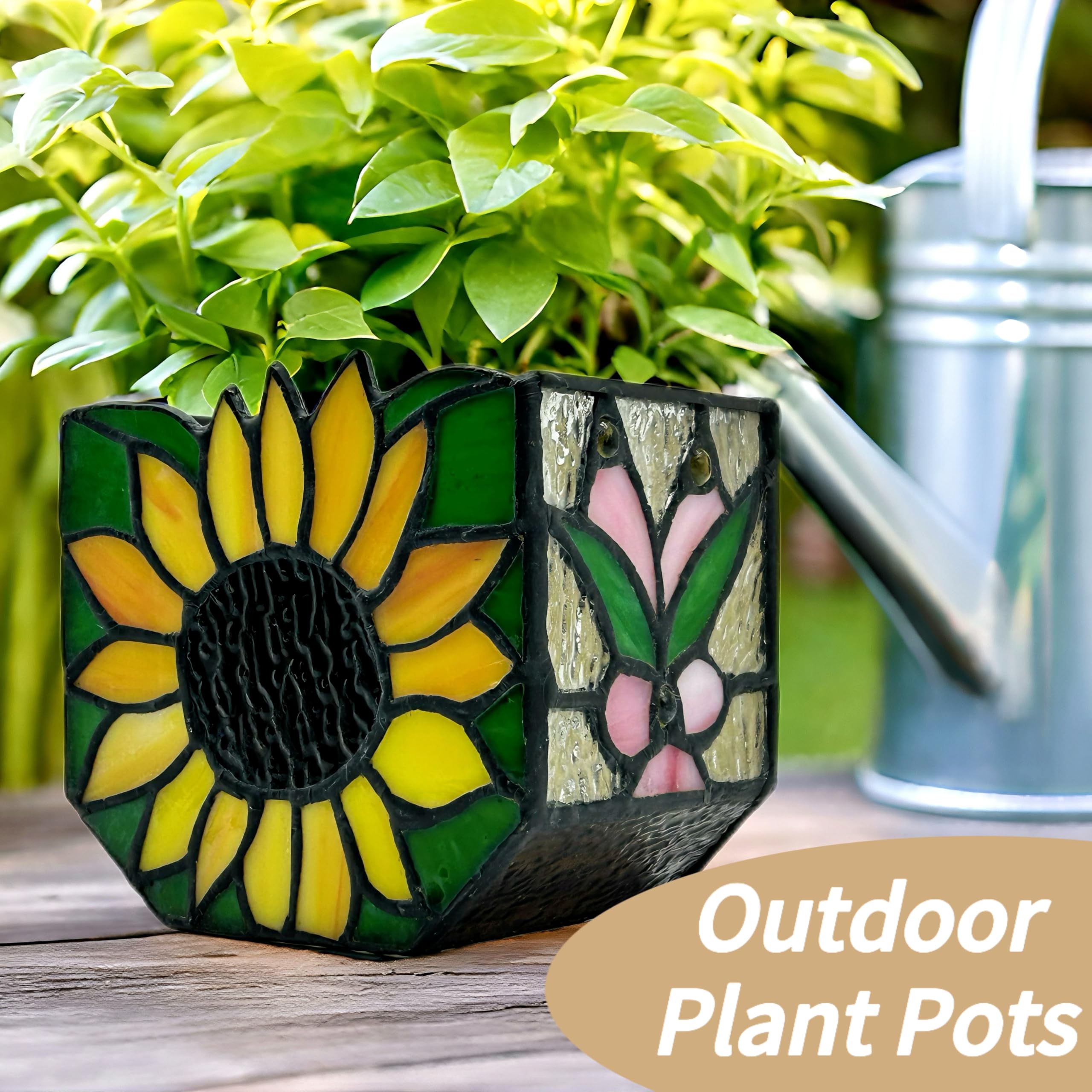Entlityful planter on windowsill with sunlight showing decorative ambiance